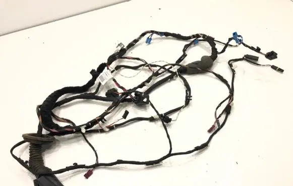 BMW 5 G30 G31 G38 Front door wiring loom 