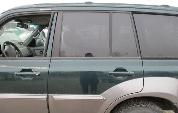 Hyundai Terracan Rear door