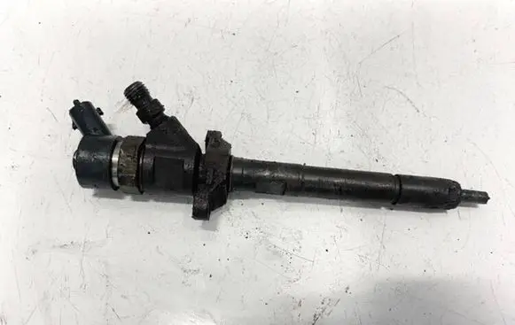 Volvo V50 Fuel injector 0445110259 061044b02