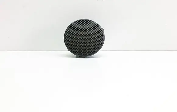 Front door high frequency speaker