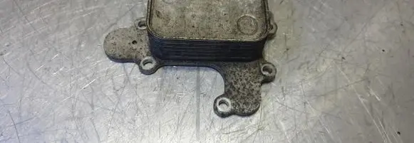 Peugeot 308 Engine oil radiator 9815697880
