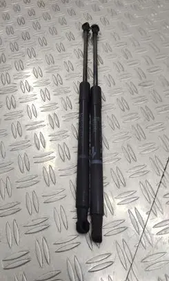 Tailgate strut