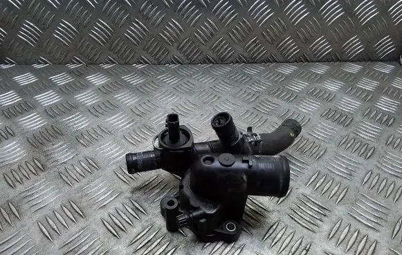 Thermostat/thermostat housing