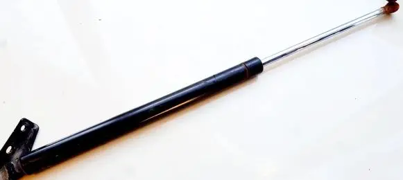 Tailgate/trunk strut/damper