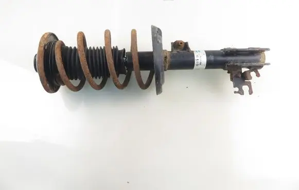 Opel Signum Front shock absorber with coil spring