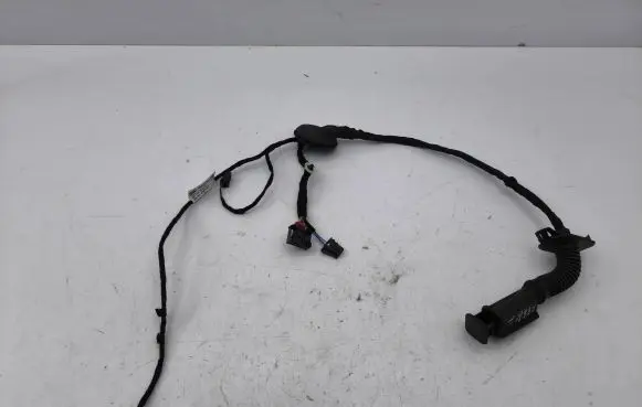 Seat Leon IV Rear door wiring loom 5FA971161F