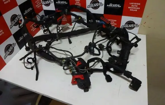 Volvo C70 Other wiring loom 30764857AB