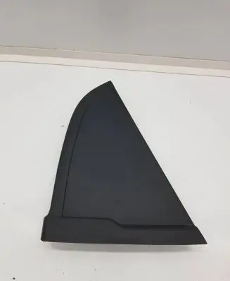 Rear door trim (molding)