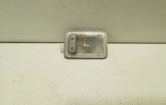 Ford S-MAX Front seat light