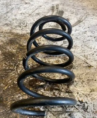 Rear coil spring