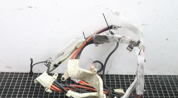 Lexus GS 300 350 430 450H Other wiring loom 8216430050B 8216430050