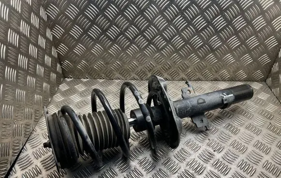Renault Scenic IV - Grand scenic IV Front shock absorber with coil spring 543021249R
