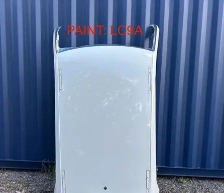 Volkswagen Tiguan Roof