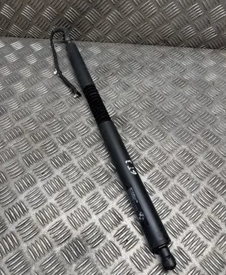 BMW 3 GT F34 Tailgate/trunk strut/damper 7298983
