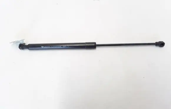 Tailgate strut