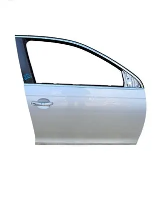 Volkswagen Golf VI Front door 