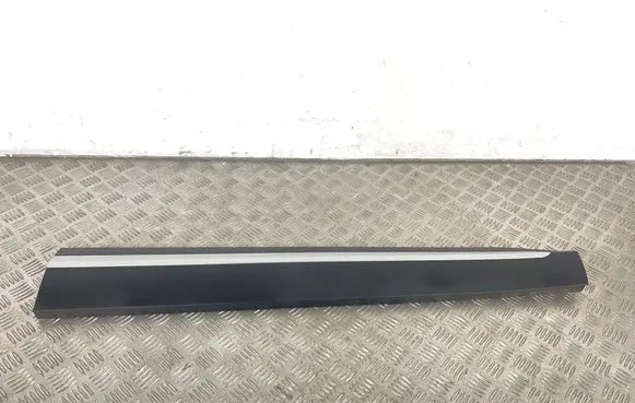 MG ZS Front door trim (molding) 11410356