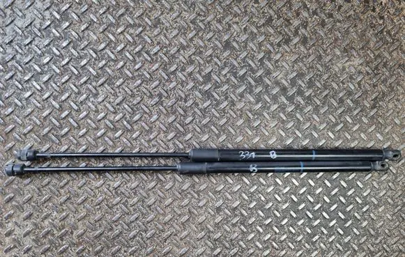 Volkswagen Arteon Tailgate/trunk strut/damper 3G8827550B