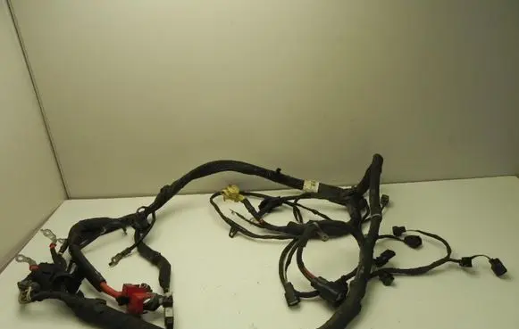 Ford Mustang V Other wiring loom GR3T14B060HE VD9207 PAZEISTI LAIDAI