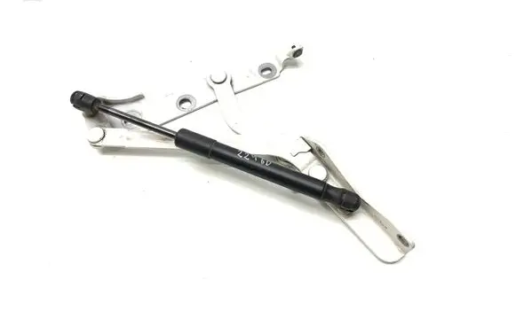 Ford Mustang V Tailgate/trunk/boot hinge 009A6A