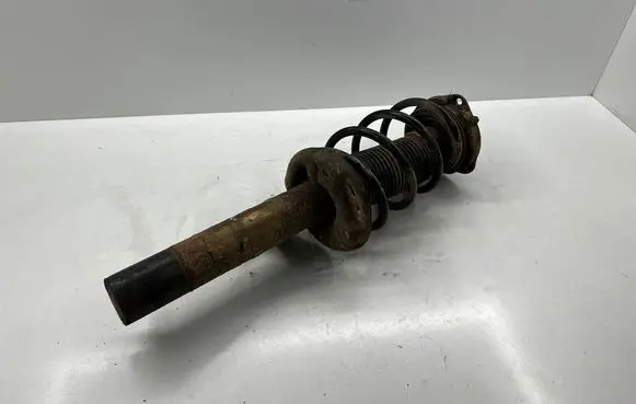 Seat Altea Front shock absorber with coil spring