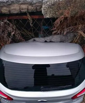 Ford Mondeo MK IV Pickup box tonneau cover fordeo