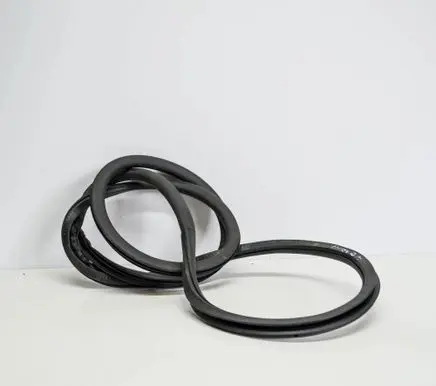 Seat Exeo (3R) Rubber seal rear door 8E9833721G