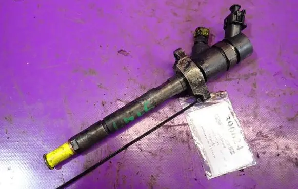 Ford Focus C-MAX Fuel injector 