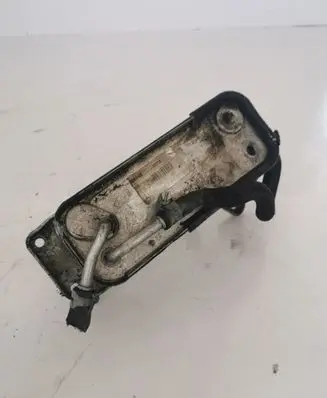 Mercedes-Benz E W211 Fuel cooler (radiator) A6120700079