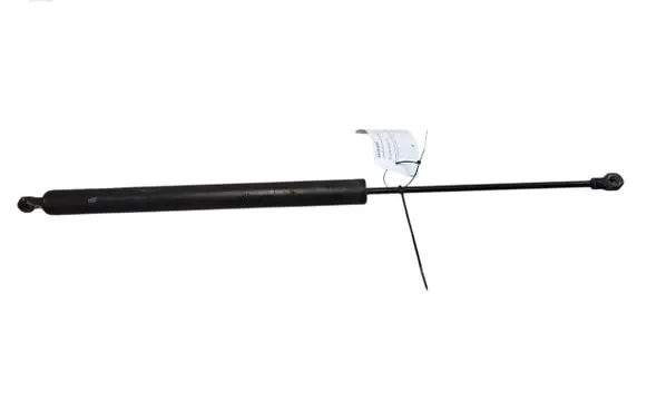 Tailgate/trunk strut/damper