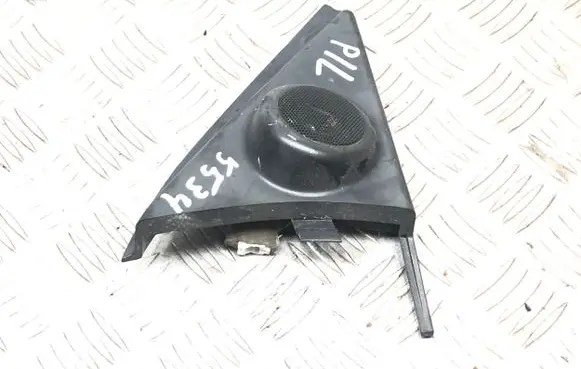 Front door speaker