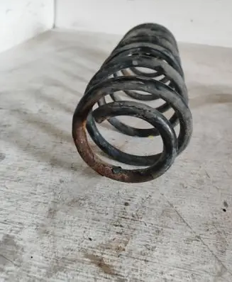 Rear coil spring