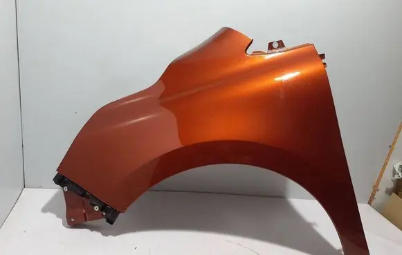Renault Kangoo III Fender 631019140R