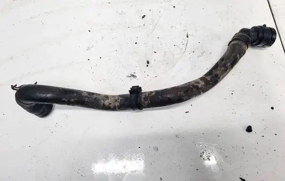 Volkswagen Bora Engine coolant pipe/hose 