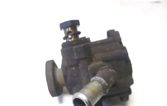 Volkswagen Sharan Power steering pump