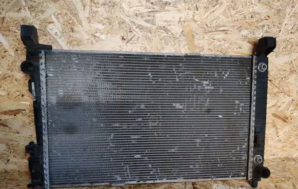 Mercedes-Benz A W169 Coolant radiator A1695001703