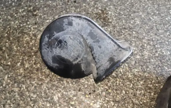 Ford Focus Horn signal