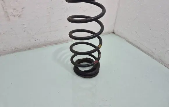KIA Rio Rear coil spring 