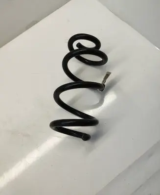 Rear coil spring