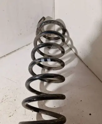 Rear coil spring