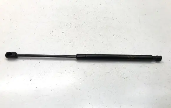 Ford Mustang Mach-E Front bonnet/hood damper/strut LJ8BR16C827AB