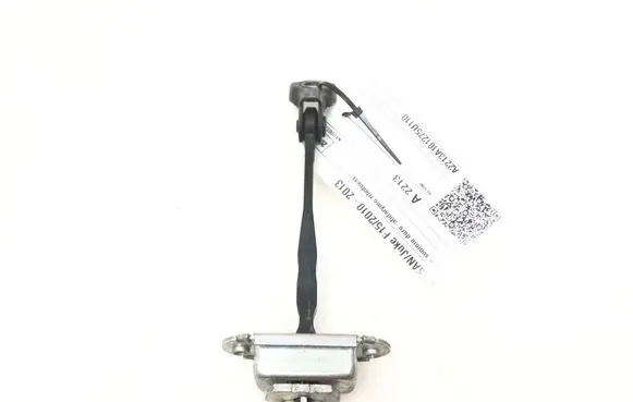 Nissan Juke I F15 Rear door check strap stopper 