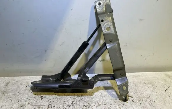 Dodge Challenger Tailgate/trunk/boot hinge 04589667