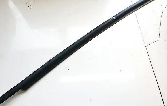 Opel Astra G Front door glass trim molding