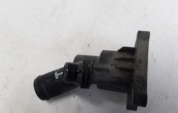 Thermostat/thermostat housing