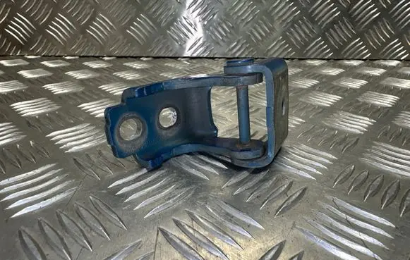 Renault Megane III Front door lower hinge 804200003R