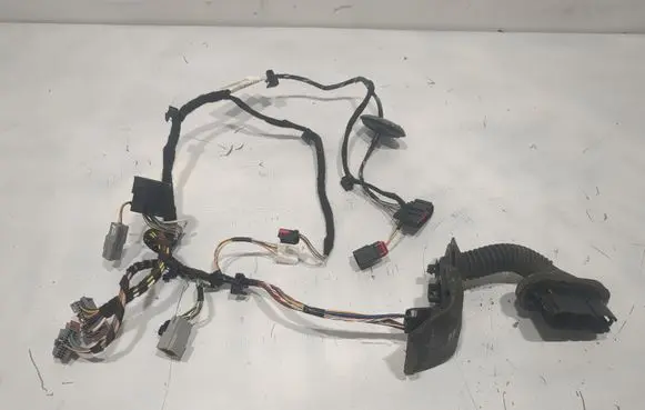 Ford Fiesta Front door wiring loom C1BT14K138 A12666102 BE01E12511817000