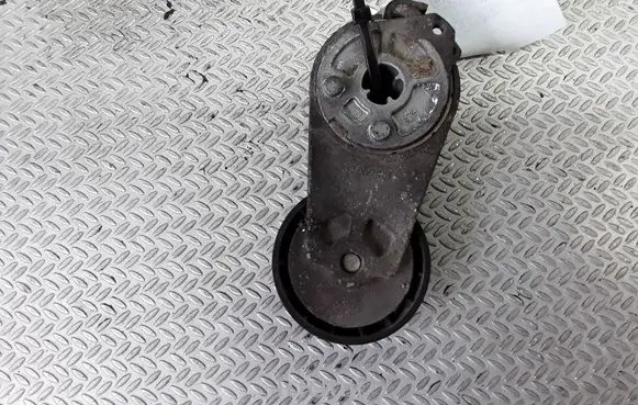 Fiat Punto (188) Generator/alternator belt tensioner