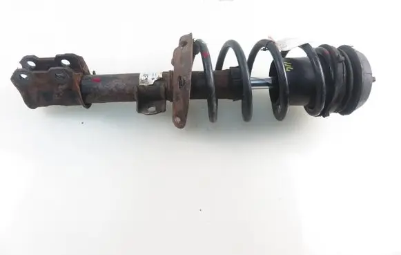 Opel Meriva A Front shock absorber with coil spring 
