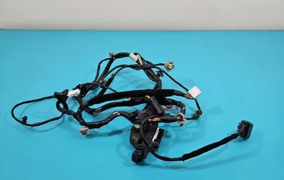 Front door wiring loom